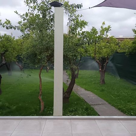 Olgas Cozy Home Chania  Exterior foto